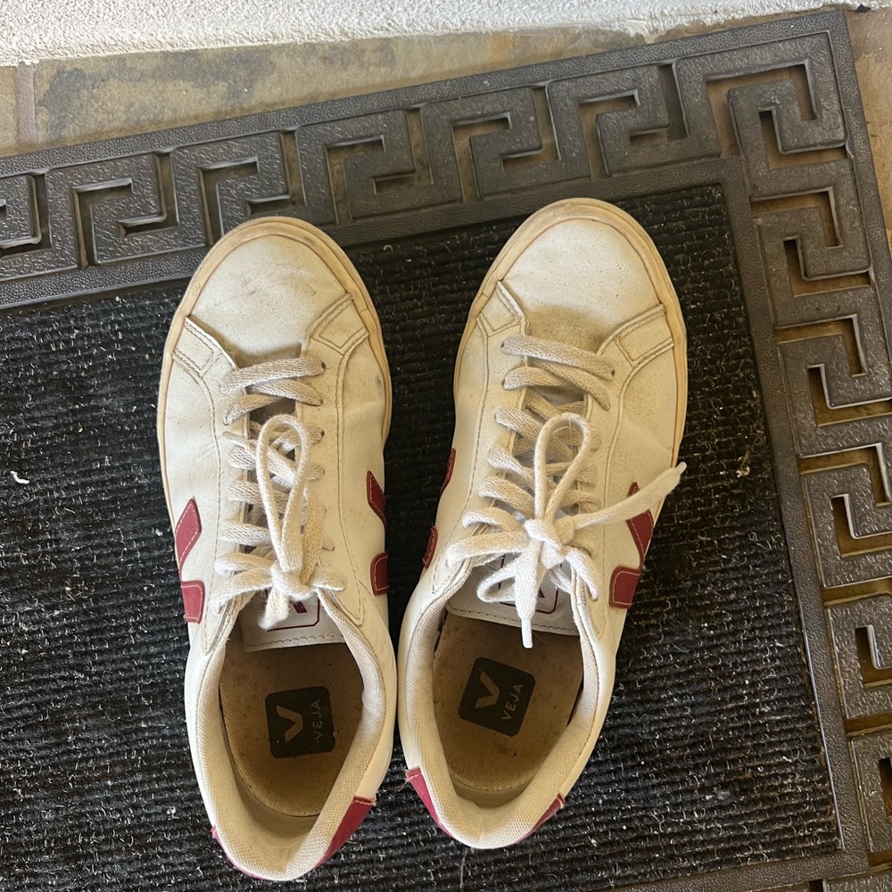 Veja sneakers!